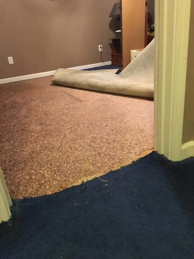 Carpet pad removal revealing water damage during Drying & Dehumidification in Lakeside