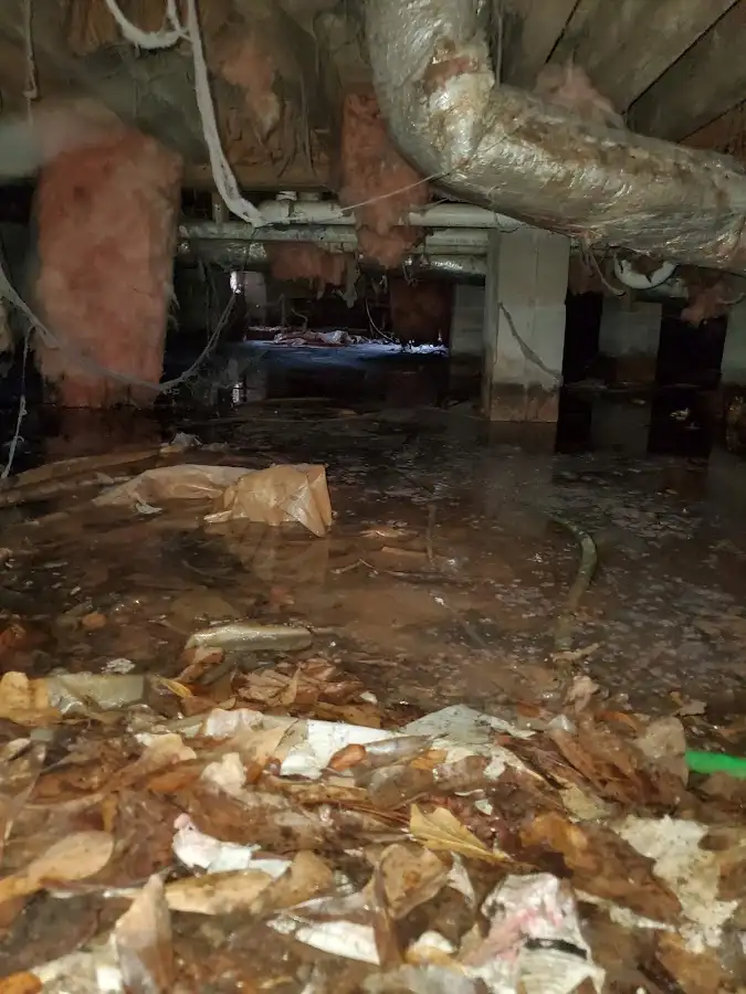Crawl space flood assessment for Leak Detection & Repair in Lakeside